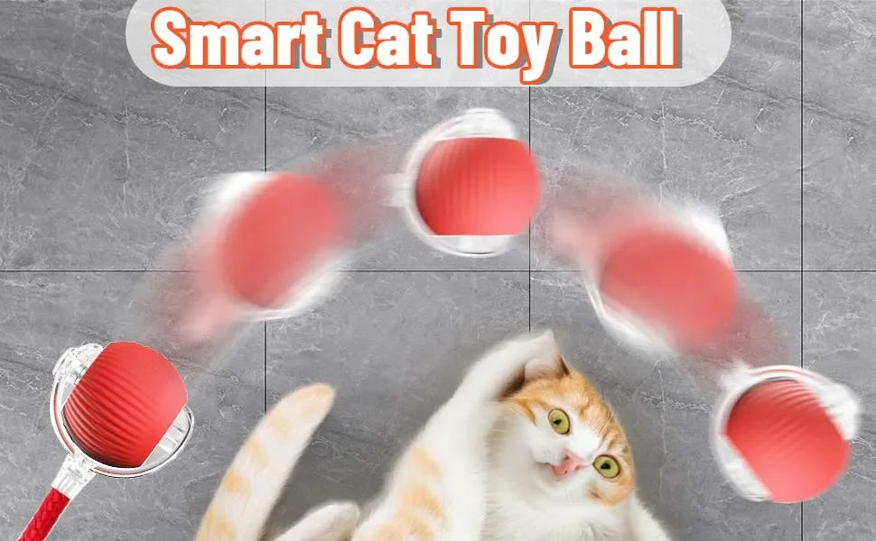 iLMH 1/2 PCS Cat Interactive Ball Toy Automatic Rolling Ball Faux Tail Rechargeable Smart Pet Electric Toy Pet Toy Imitate Mouse