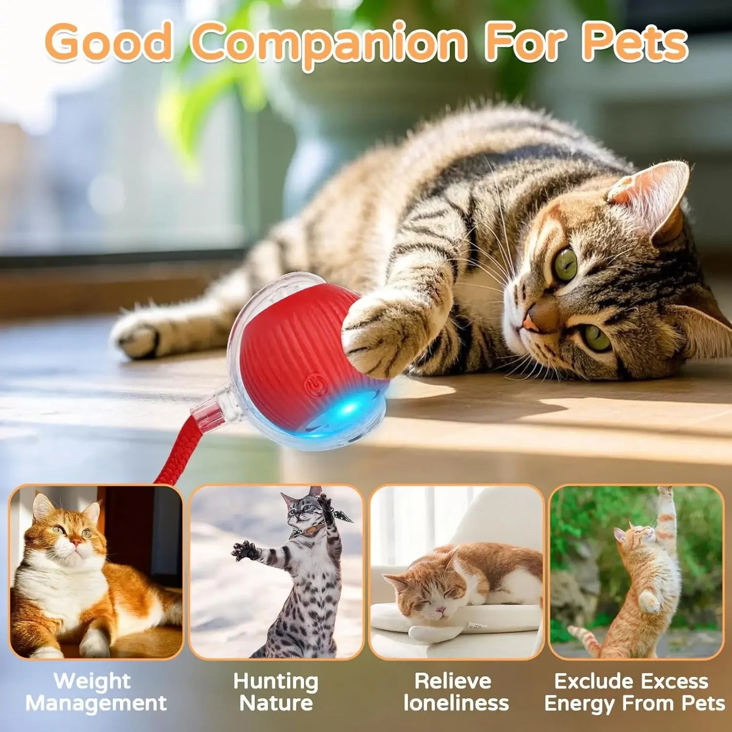 iLMH 1/2 PCS Cat Interactive Ball Toy Automatic Rolling Ball Faux Tail Rechargeable Smart Pet Electric Toy Pet Toy Imitate Mouse
